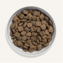 Canagan 無穀物放牧羊配方(全犬用)乾狗糧