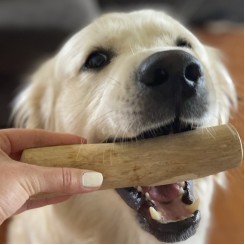 DOGGER 咖啡木咬骨 